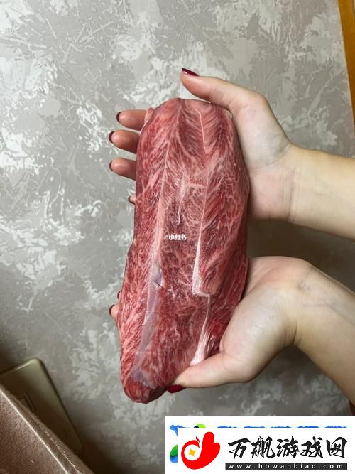 大肉大捧一进一出视频