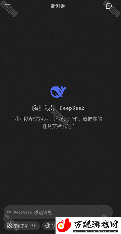 DeepSeek官网地址是什么