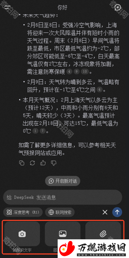 DeepSeek官网地址是什么