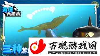 Steam艾尔登法环的开放世界探索体验与挑战-带给玩家前所未有的冒险魅力