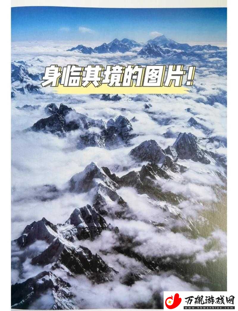 一本久-：带你领略精彩绝伦的知识世界之旅